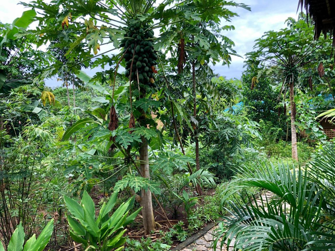 House @Bohol Garden Homes 팡라오 외부 사진