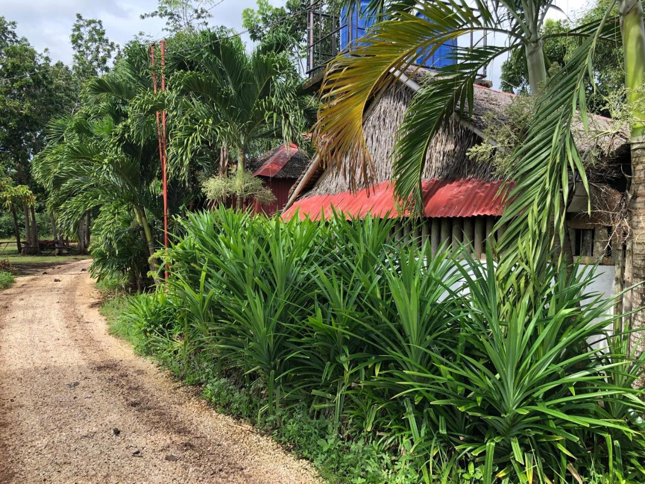 House @Bohol Garden Homes 팡라오 외부 사진
